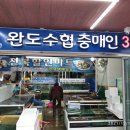 대물회