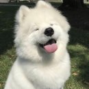 ‘25년 3월 생일기념 홍콩여행(센트럴, 베이크하우스, 피크트램, 딤섬스퀘어)
