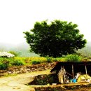 염소우리 이미지