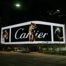 팬더랜드 이미지