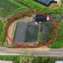 호재농장 이미지