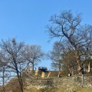 정원시장 고객센터 | 공주 당일치기 코스 추천: 피탕김탕 공산성 커피인터뷰금강