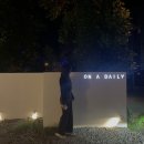 온어데일리 이미지