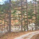 수태1리 이미지