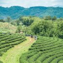 인경농장 이미지