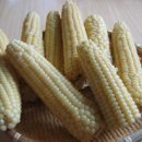 평해솥뚜껑 이미지