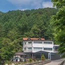 가평 숲속의 계곡 펜션 이미지