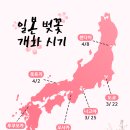 (주) 가나여행사 이미지