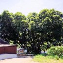 운전부락(운전) 이미지