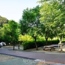 팔공산처럼