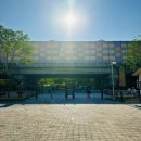 금곡동반려견놀이터 이미지