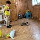 불기2569년(2025년)6월14일(토)어린이법회-목탁연습,영화 &#34;코코&#34;감상, 책읽어주기 이미지