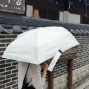 작은여우비 | Wpc 우양산 내돈내산 후기｜다이소, 기라로쉬 양우산과 비교해본 솔직 리뷰