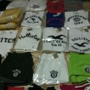 공룡코딱지 이미지