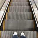 아모르 | 종로예물반지 아모르주얼리 후기