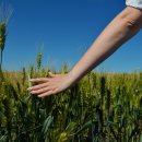 한길요양병원 이미지