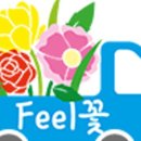 FEEL (필)