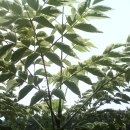 고향농장 이미지