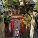 산책길에 | 우에노 공원 산책길 힙스터 추천 루트 후기