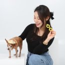 해피멍데이 | 부산 근교 김해 &lt;해피멍데이 애견카페&gt; 내돈내산 후기, 셀프 스튜디오까지 있는 카페