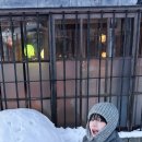 테시토의원 이미지