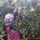 진표농장 이미지