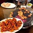 수성민박 | 대구 황금동 맛집 대구막창 &lt;제일 숯불 막창 본점&gt; 막창맛집 숯불막창 수성구맛집