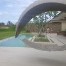 시크릿푸드 이미지