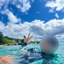 AJ 아쿠아 | 오키나와 10월 11월 스노쿨링 스팟 고릴라춉 해변 셀프 투어 비교