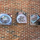 삼정메밀소바 이미지