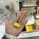 유달여행사