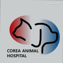 코리아동물병원 이미지