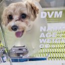 오션동물메디컬센터 이미지