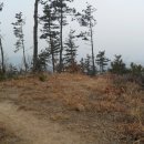 장군산한우 이미지