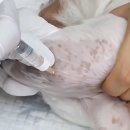 (주)대신메디칼 이미지