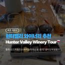툴록·오드리윌킨슨·피터슨하우스 등 7곳 내돈내산 셀러도어 시음 방문기 (Hunter Valley Winery Tour)