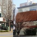 이촌1동주민센터 이미지