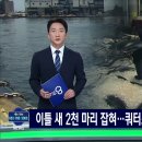 참치 때문에 난리났다는 동해 근황 이미지