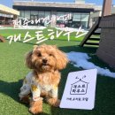 개스트하우스 청주점 이미지