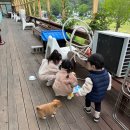 오손도손캠핑장 이미지