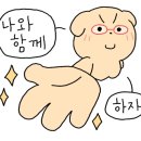 종로태양약국 이미지