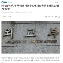 [속보] 정부, '북한 테러 가능성' 5개 재외공관 테러경보 '경계' 상향 이미지