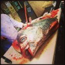 Sunfish[개복치] / Spotted moonfish[붉평치] 이미지