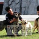 119구조대 이미지