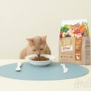 한국사료주식회사 이미지