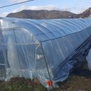 노산농장 이미지