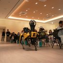 조금초교 이미지