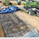 강선목장 이미지