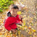 위례유치원 | 공동육아10년차의 파란하늘어린이집 후기- 송파/위례/하남 숲어린이집/숲유치원