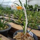 광주양지병원 이미지